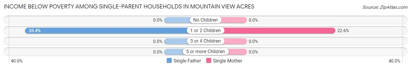 Income Below Poverty Among Single-Parent Households in Mountain View Acres