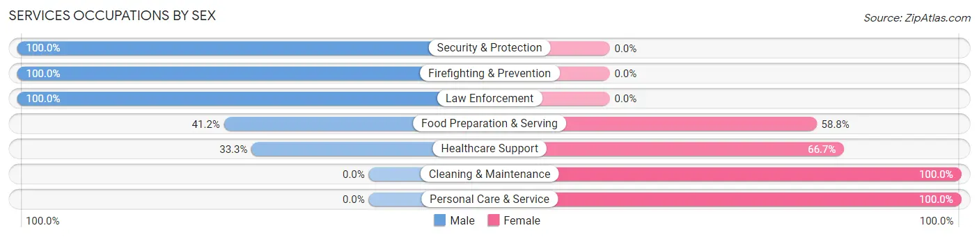 Services Occupations by Sex in Mountain View Acres