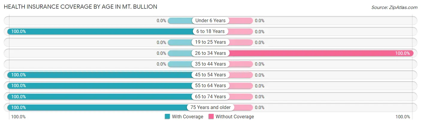 Health Insurance Coverage by Age in Mt. Bullion