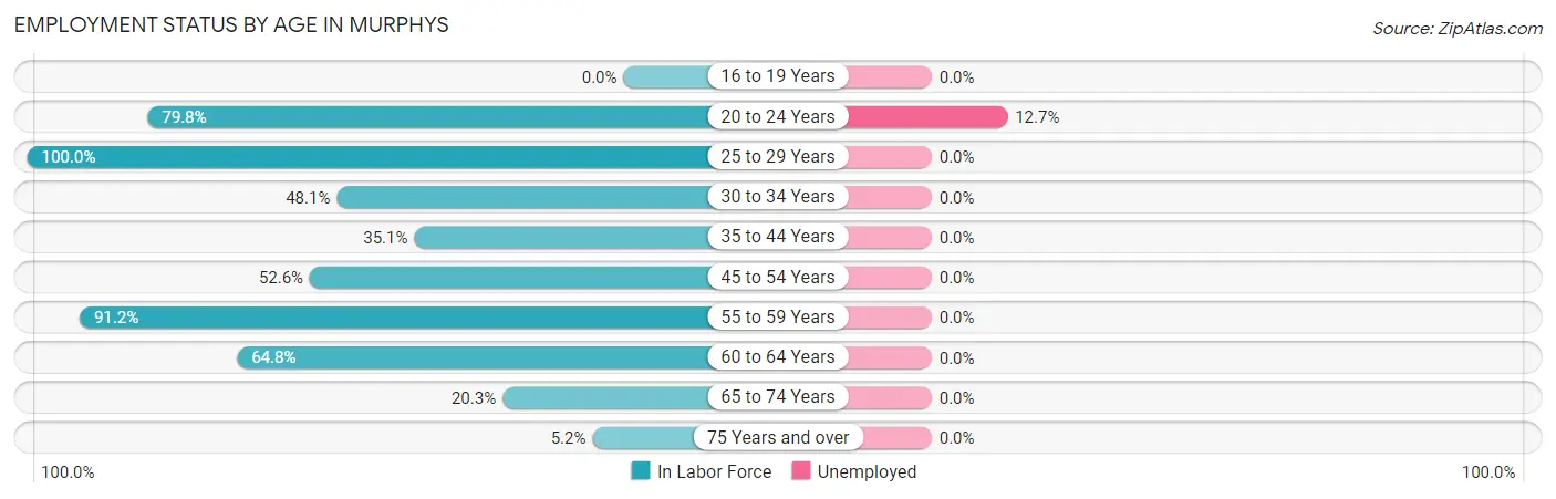 Employment Status by Age in Murphys