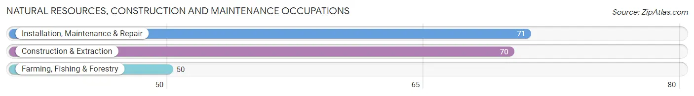 Natural Resources, Construction and Maintenance Occupations in Myrtletown