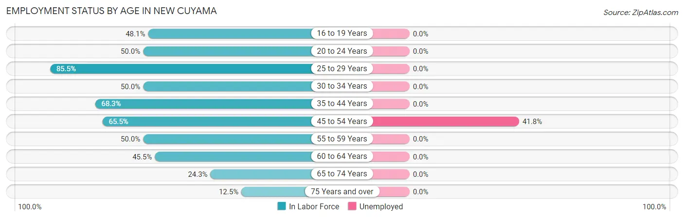 Employment Status by Age in New Cuyama