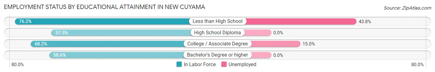 Employment Status by Educational Attainment in New Cuyama