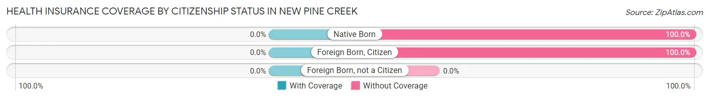 Health Insurance Coverage by Citizenship Status in New Pine Creek