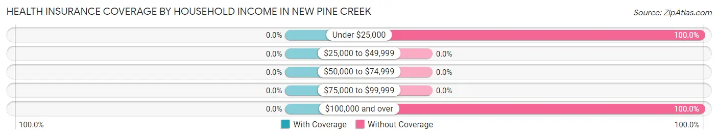 Health Insurance Coverage by Household Income in New Pine Creek