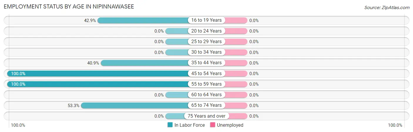 Employment Status by Age in Nipinnawasee