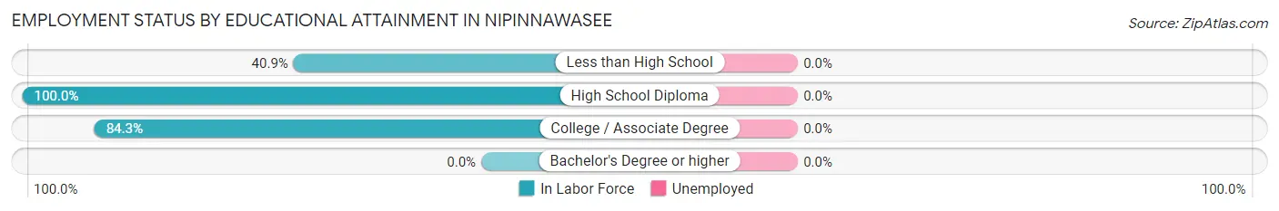 Employment Status by Educational Attainment in Nipinnawasee