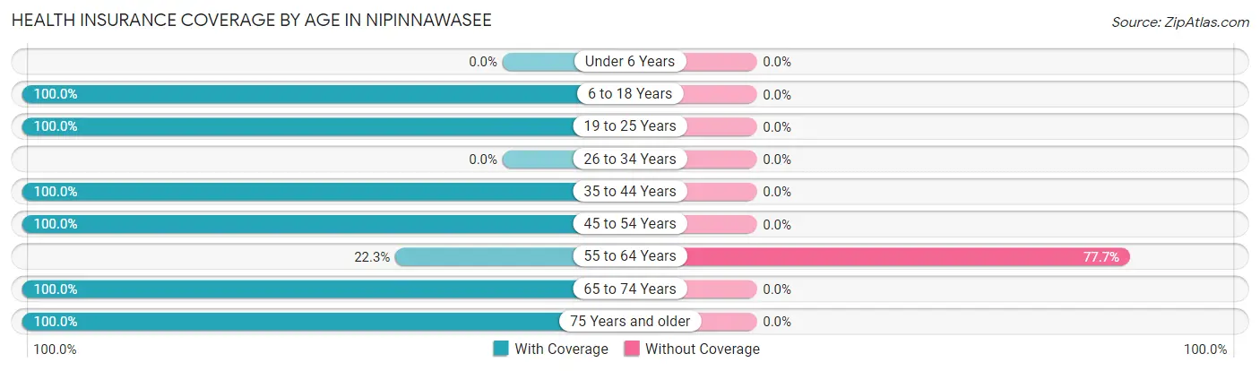 Health Insurance Coverage by Age in Nipinnawasee