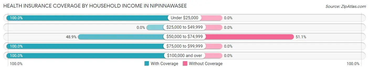 Health Insurance Coverage by Household Income in Nipinnawasee