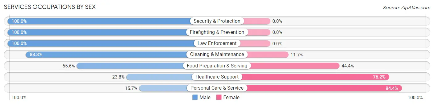 Services Occupations by Sex in North Auburn