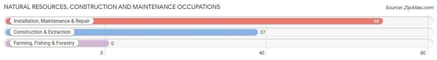 Natural Resources, Construction and Maintenance Occupations in North El Monte