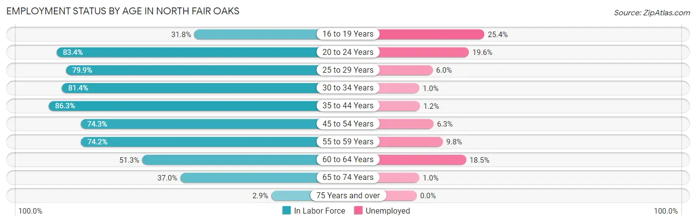 Employment Status by Age in North Fair Oaks