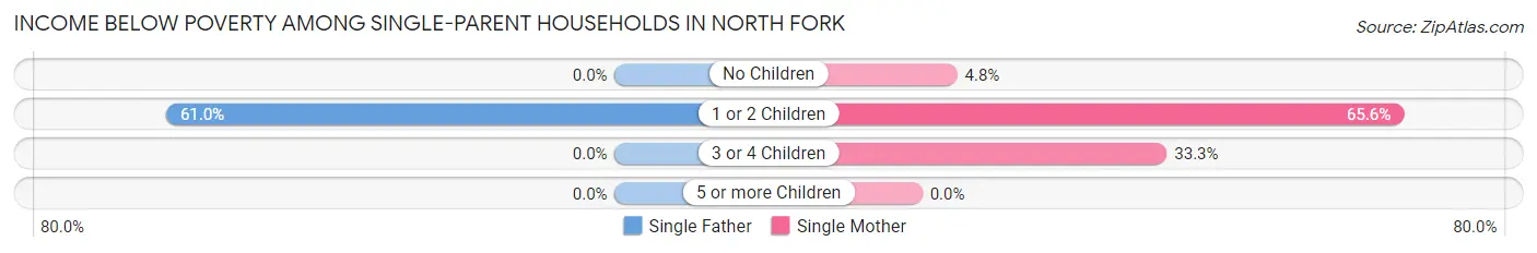 Income Below Poverty Among Single-Parent Households in North Fork