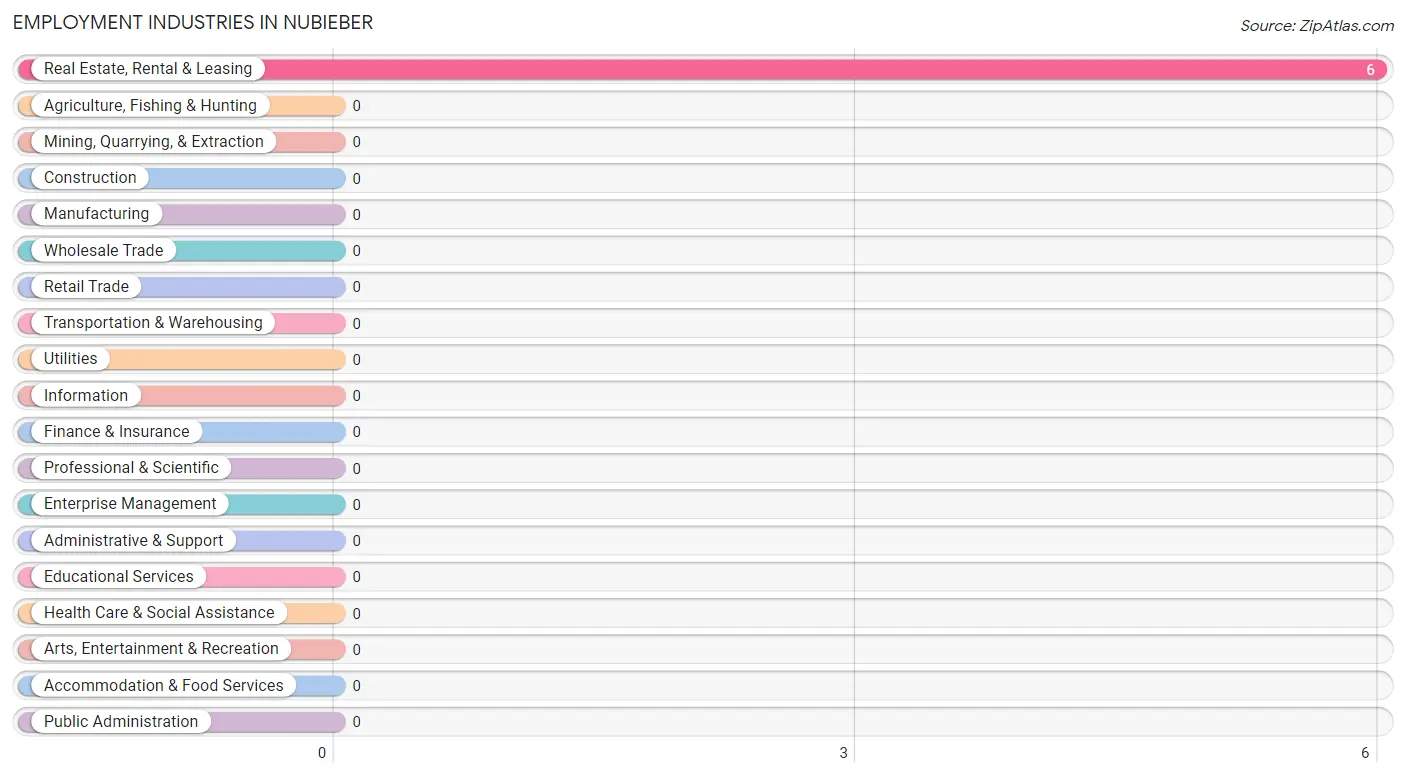 Employment Industries in Nubieber