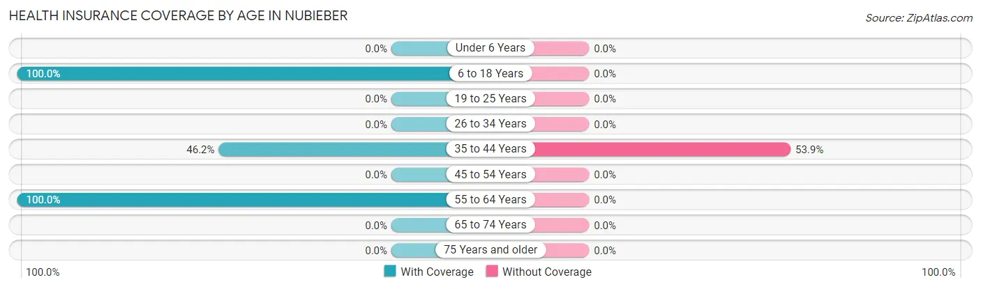 Health Insurance Coverage by Age in Nubieber