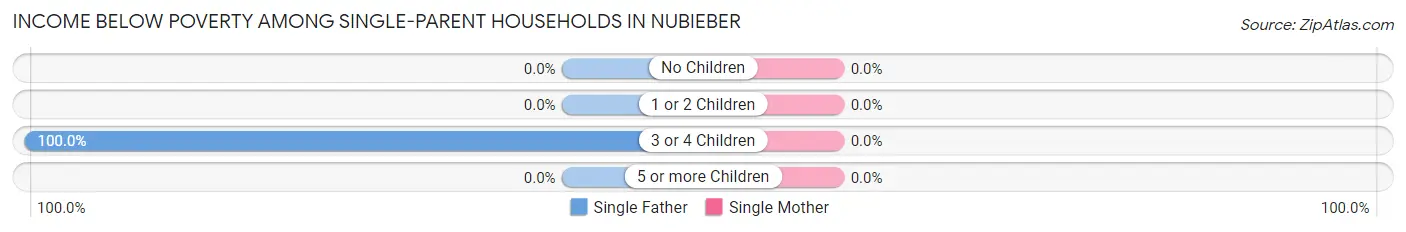 Income Below Poverty Among Single-Parent Households in Nubieber