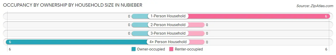Occupancy by Ownership by Household Size in Nubieber