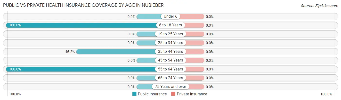 Public vs Private Health Insurance Coverage by Age in Nubieber