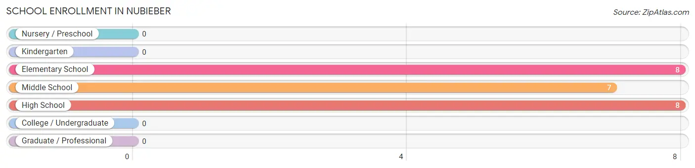 School Enrollment in Nubieber