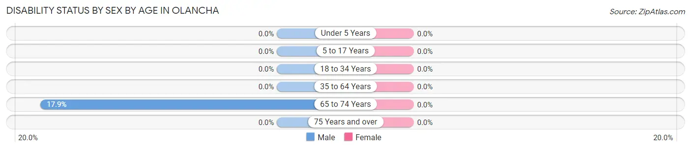 Disability Status by Sex by Age in Olancha