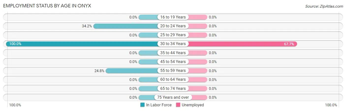 Employment Status by Age in Onyx