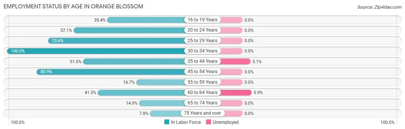Employment Status by Age in Orange Blossom