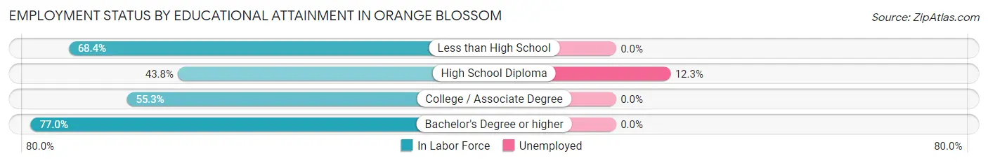 Employment Status by Educational Attainment in Orange Blossom