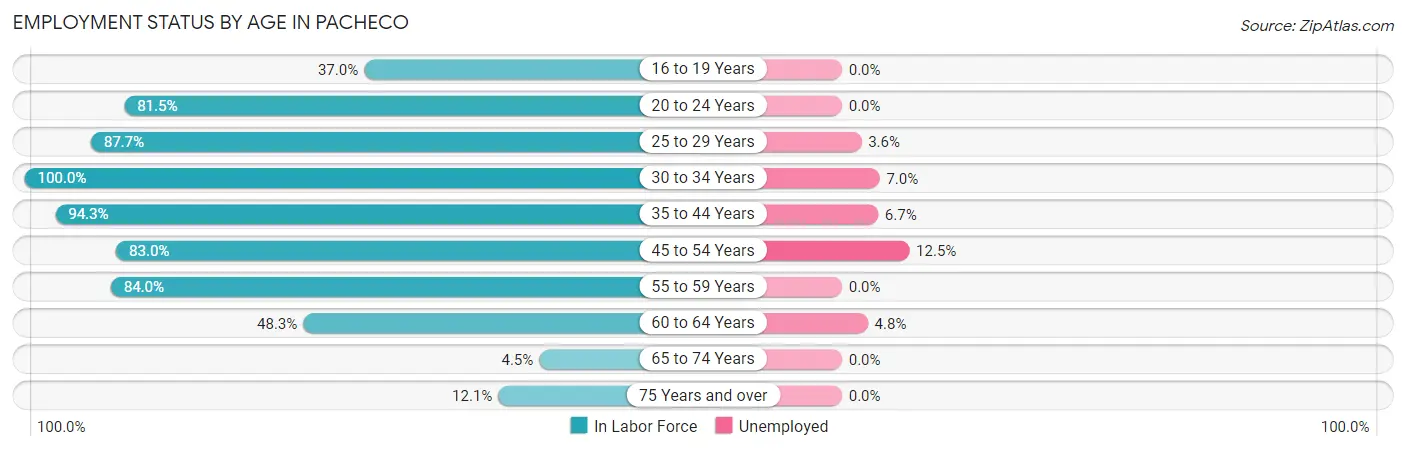 Employment Status by Age in Pacheco