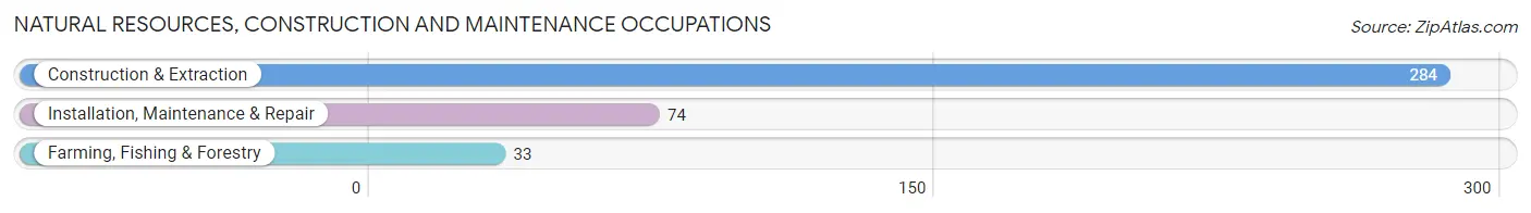 Natural Resources, Construction and Maintenance Occupations in Pacheco