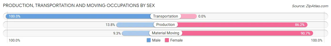 Production, Transportation and Moving Occupations by Sex in Pacheco