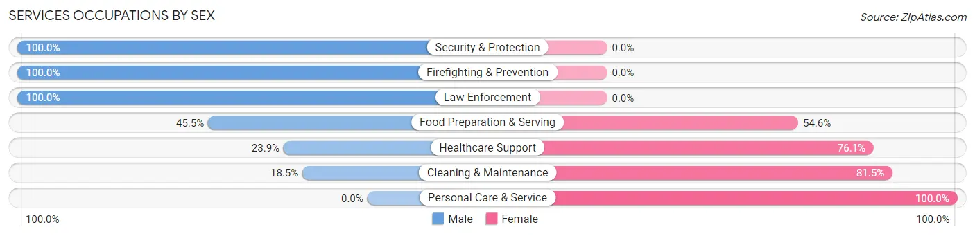 Services Occupations by Sex in Pacheco