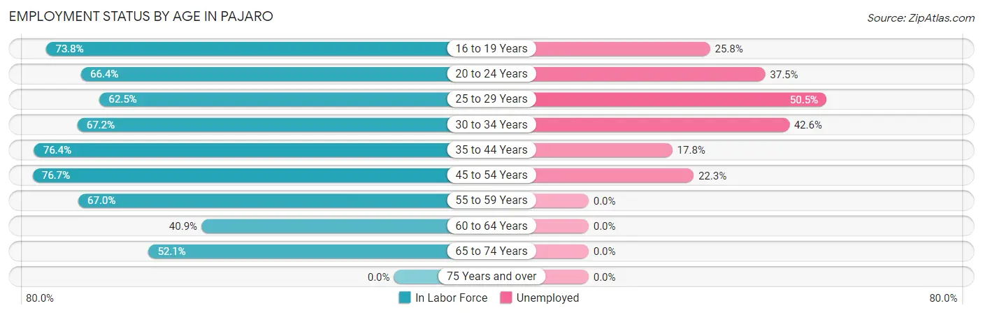 Employment Status by Age in Pajaro