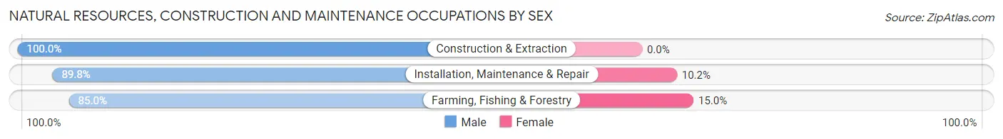 Natural Resources, Construction and Maintenance Occupations by Sex in Palm Springs
