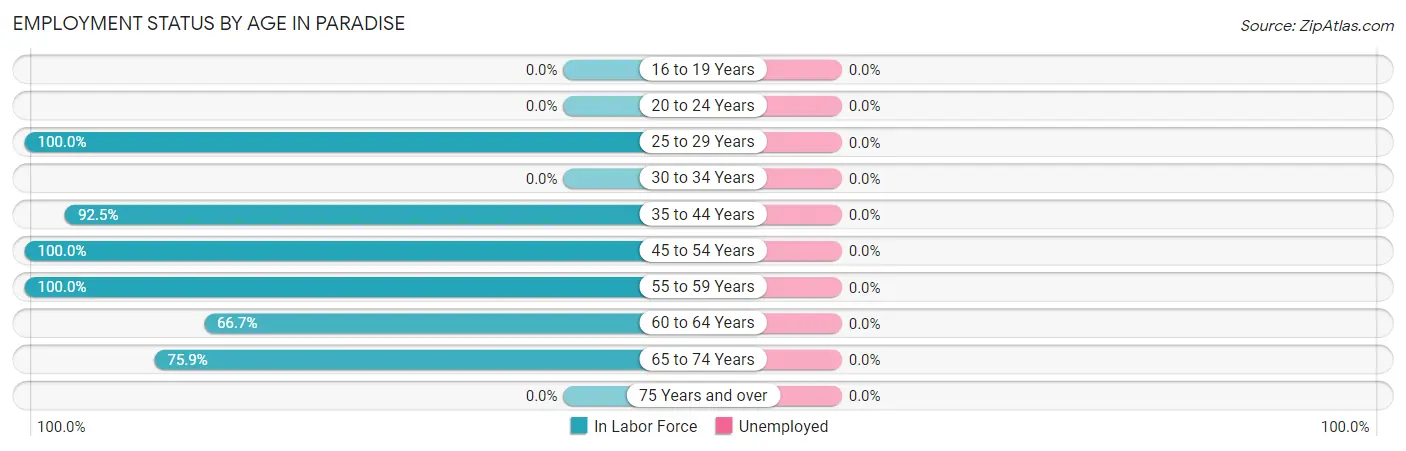 Employment Status by Age in Paradise