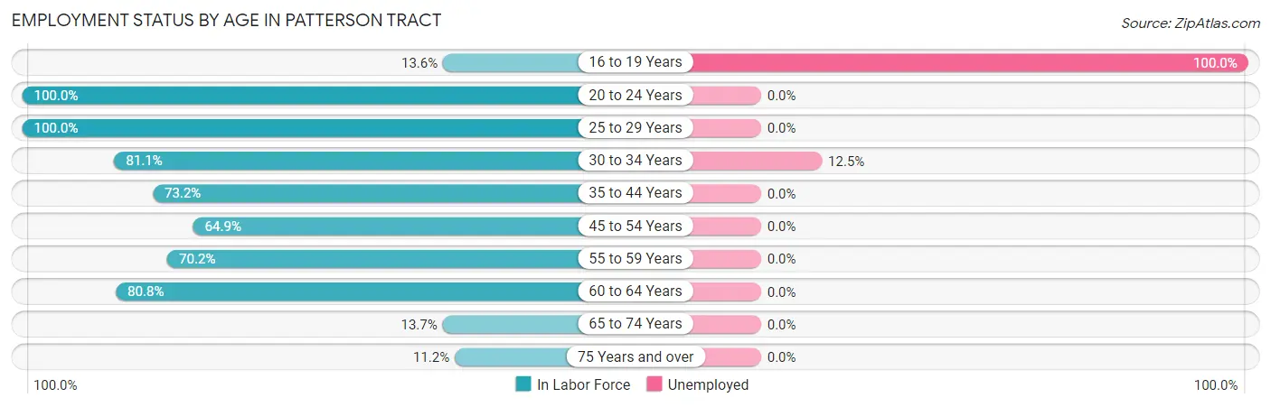 Employment Status by Age in Patterson Tract