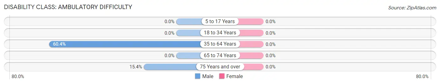 Disability in Patton Village: <span>Ambulatory Difficulty</span>