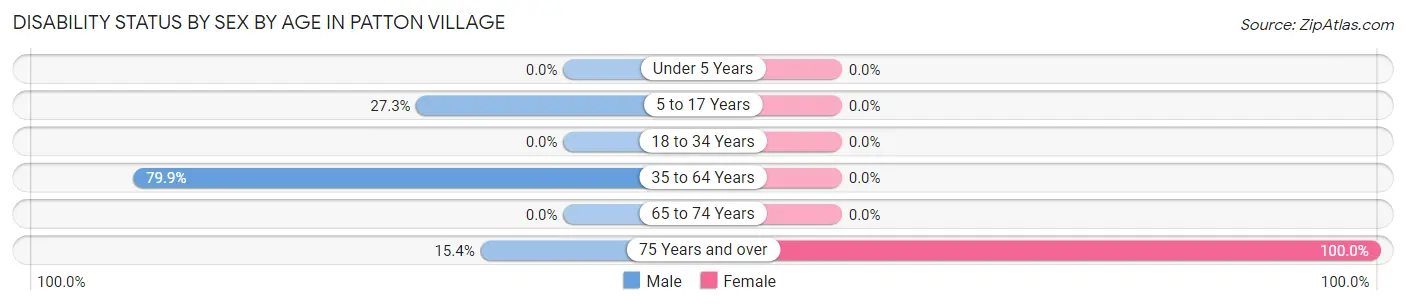 Disability Status by Sex by Age in Patton Village
