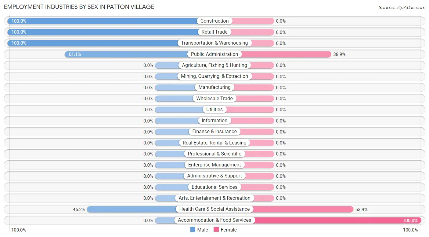 Employment Industries by Sex in Patton Village