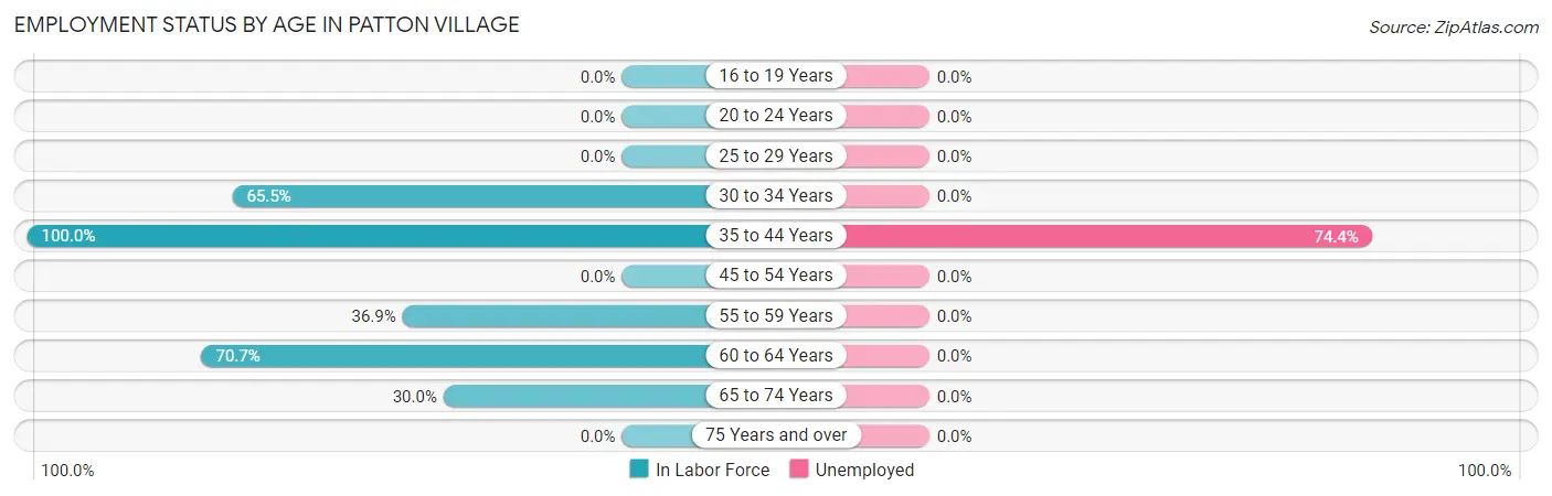 Employment Status by Age in Patton Village
