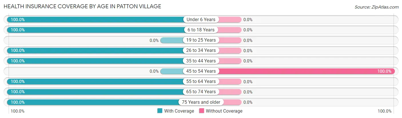 Health Insurance Coverage by Age in Patton Village