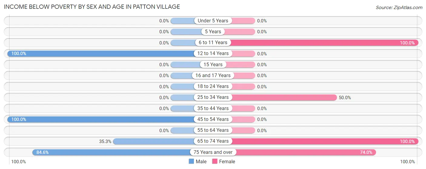 Income Below Poverty by Sex and Age in Patton Village