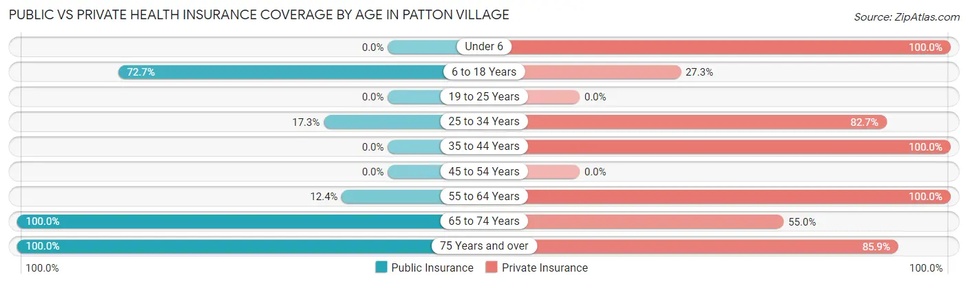 Public vs Private Health Insurance Coverage by Age in Patton Village