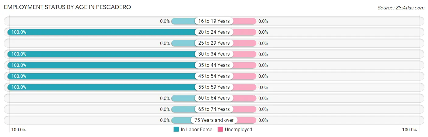 Employment Status by Age in Pescadero