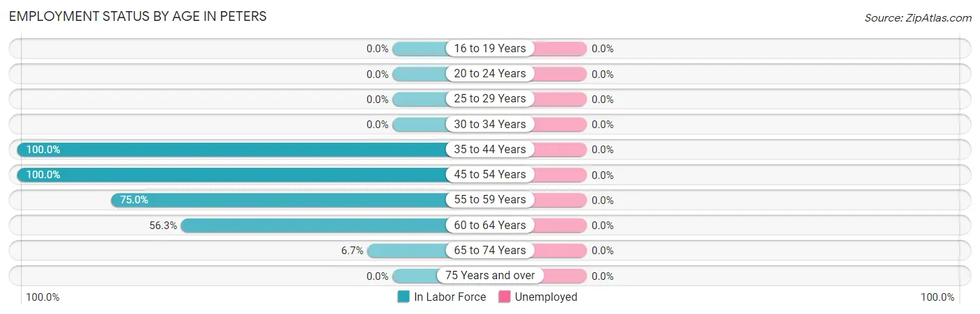 Employment Status by Age in Peters