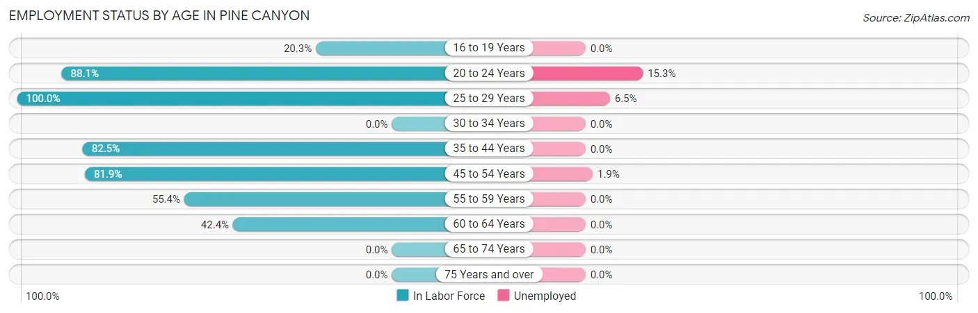 Employment Status by Age in Pine Canyon