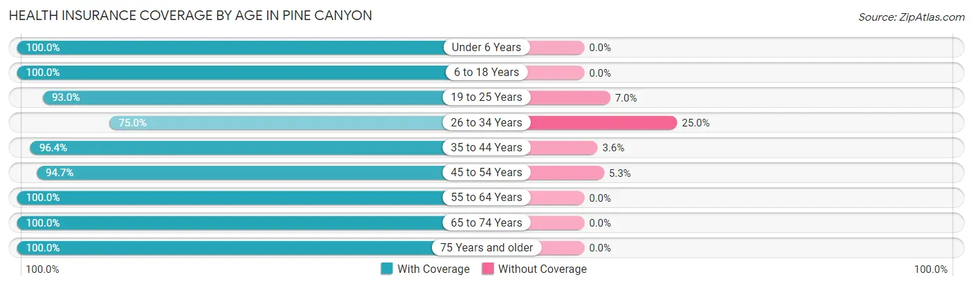 Health Insurance Coverage by Age in Pine Canyon
