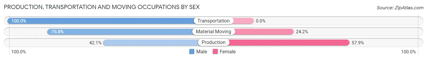 Production, Transportation and Moving Occupations by Sex in Pine Canyon