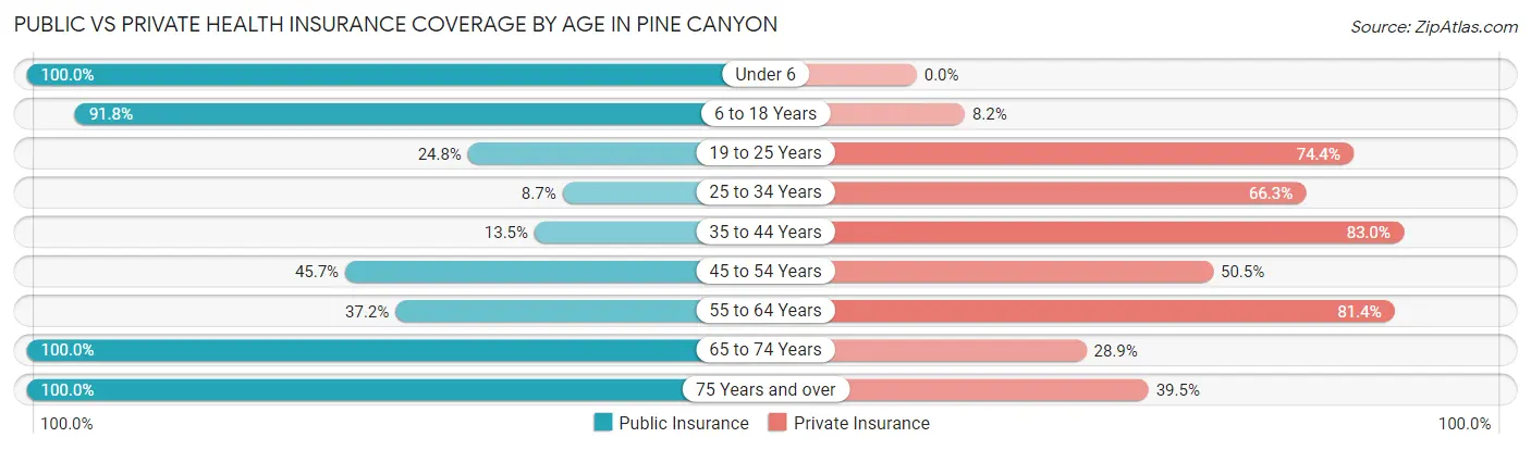 Public vs Private Health Insurance Coverage by Age in Pine Canyon