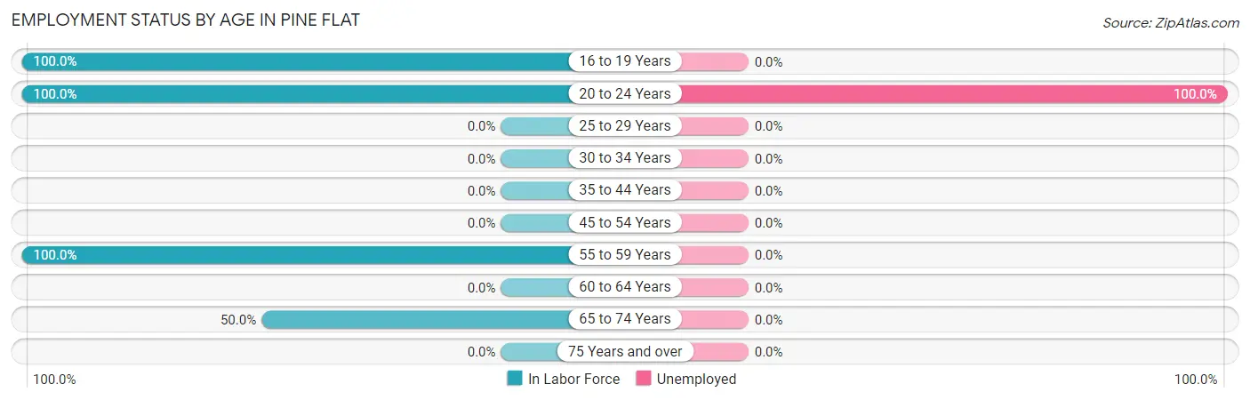 Employment Status by Age in Pine Flat