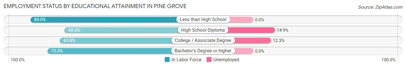 Employment Status by Educational Attainment in Pine Grove